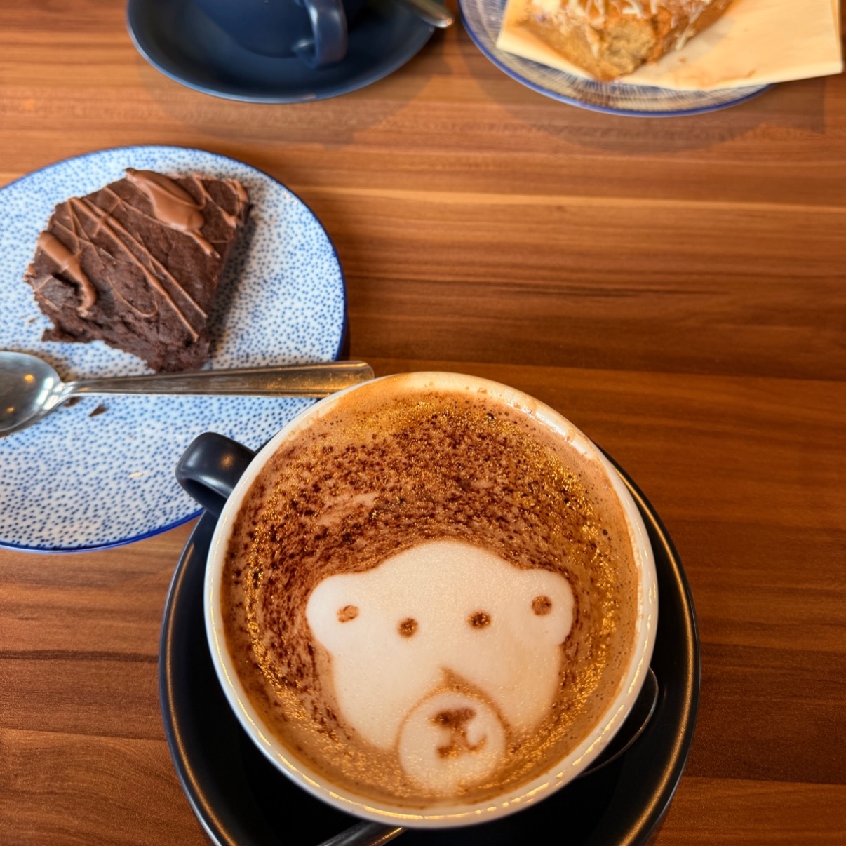 Mocha logged by Tara in Ireland